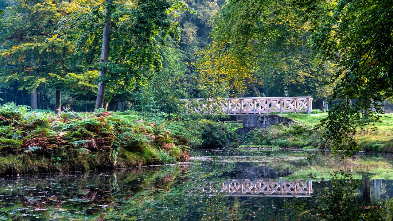 Dülmen, Wildpark -- 2015 -- 8894-8