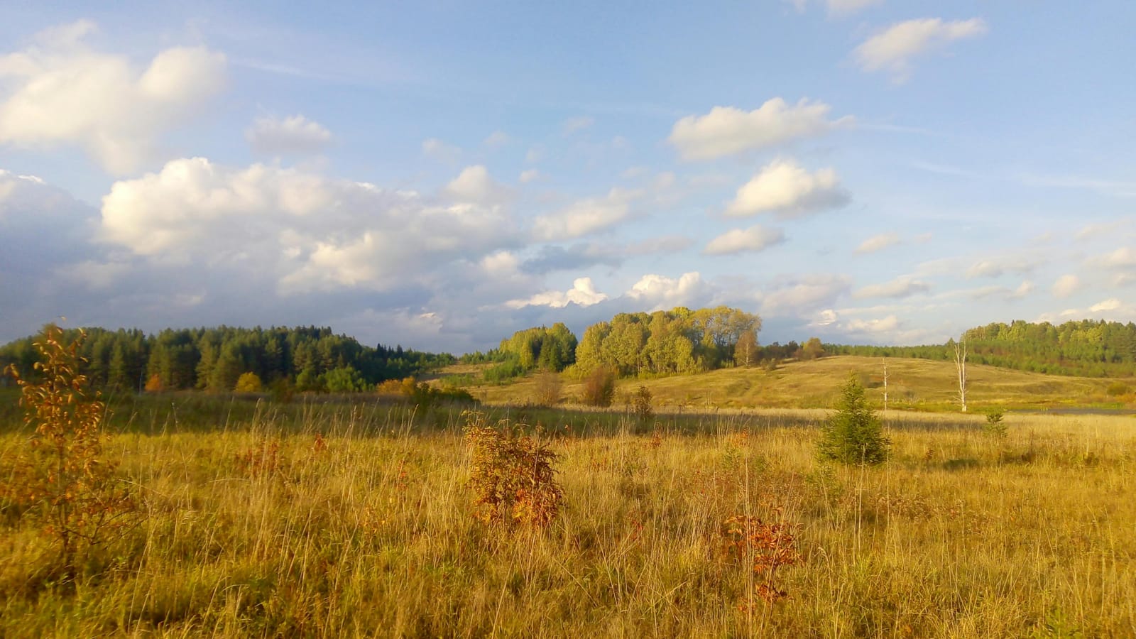 Idyllic autumn landscape with golden fields and rolling hills under a blue sky.